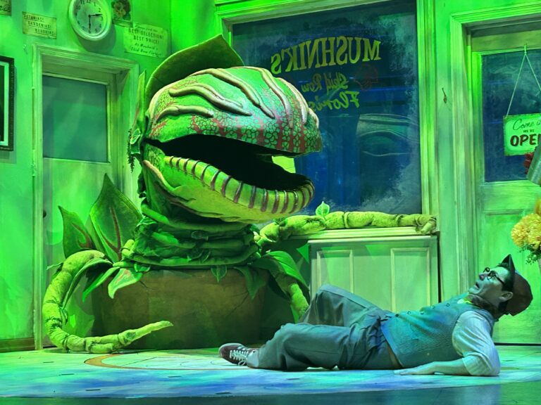 A very green photograph of a very large flytrap plant with its mouth open menacing a very small nerdy human man named Seymour, who is lying on the floor trying to get away.