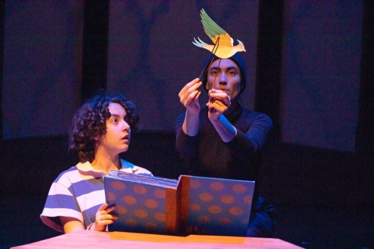 A young Iraqi boy wearing a striped shirt looks in awe as a yellow and green bird puppet flies out of his open book.